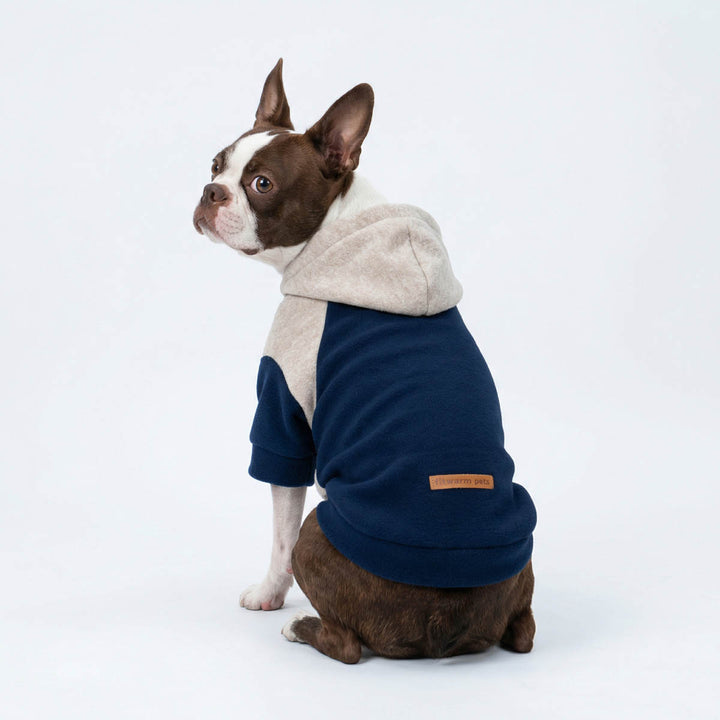 Dog wearing a classic navy blue and beige dog hoodie on a white background