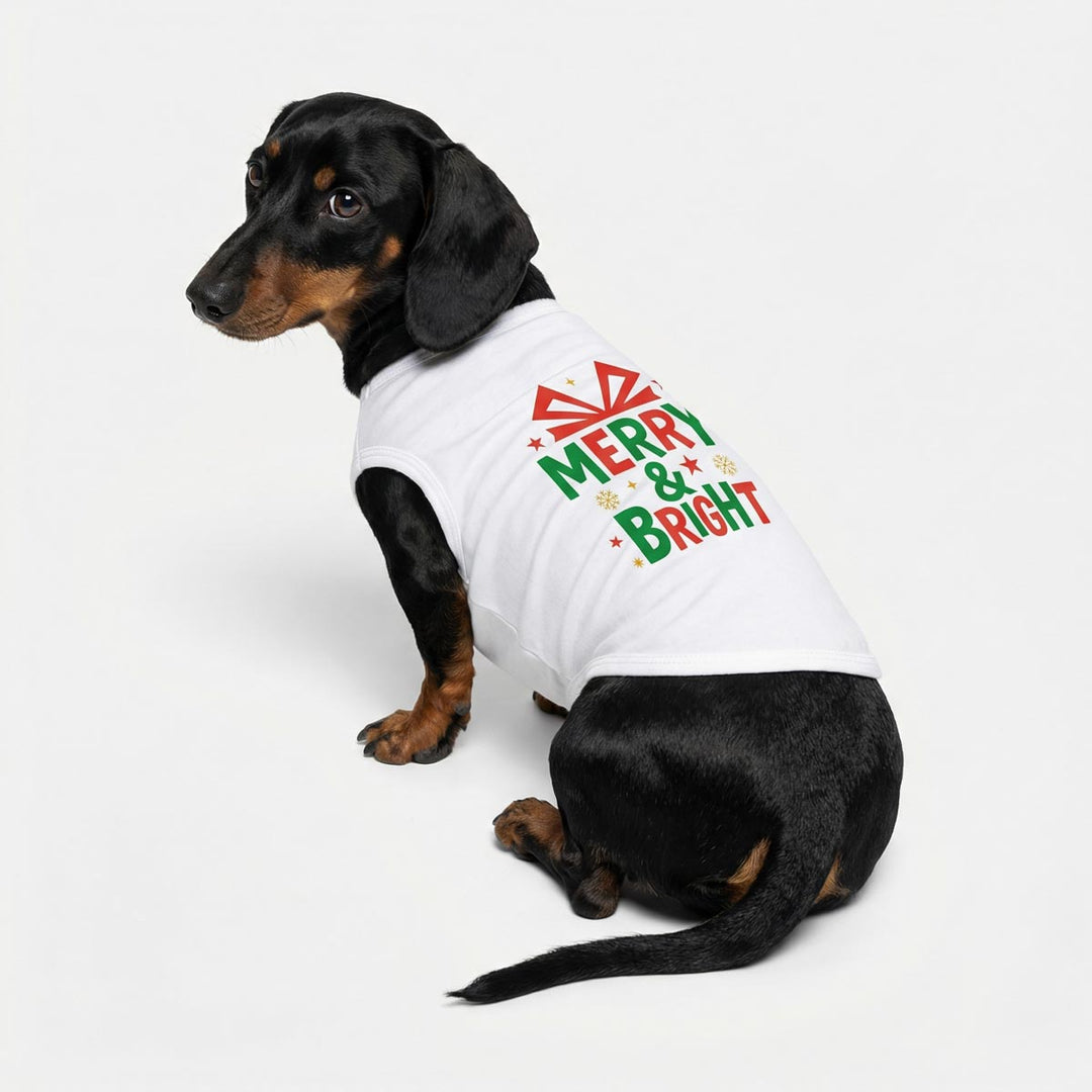 Dachshund wear a Christmas shirt for dogs with 'Merry & Bright' lettering and festive prints