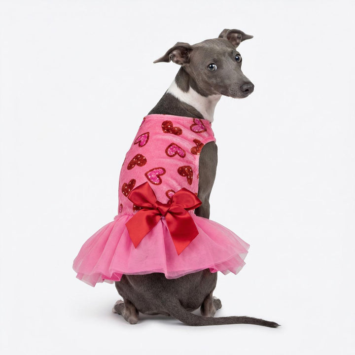 Cute dog wearing a romantic Valentine dog dress with heart details