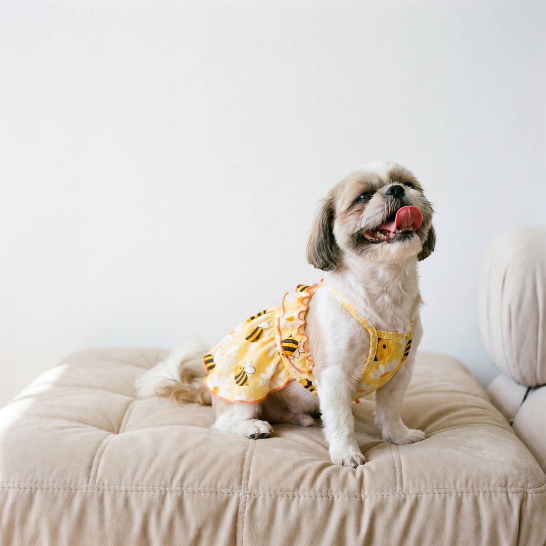 Small dog wearing a yellow dog dress with bee prints on a beige cushion