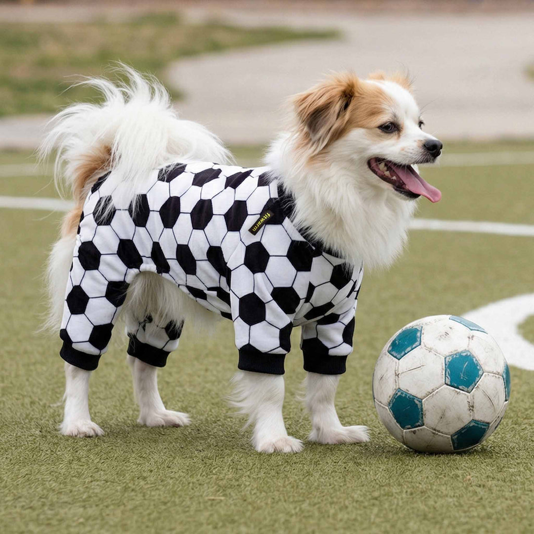 Small dog wearing a dog pajamas with soccer print beside a soccer
