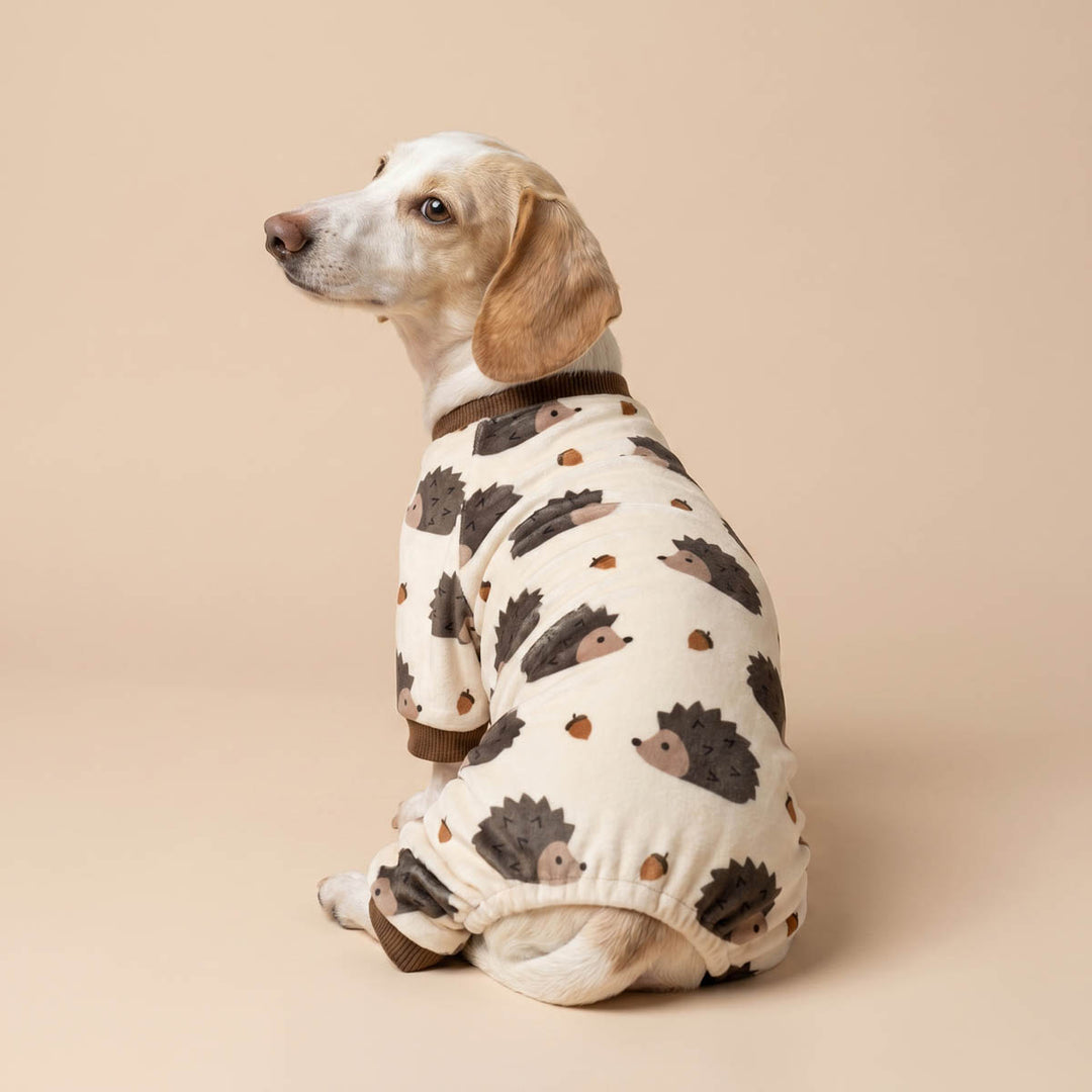 Dachshund wearing a hedgehog prints pajamas for dogs in a beige background