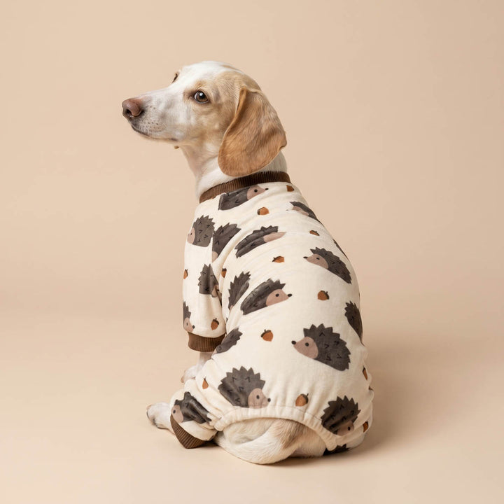 Dachshund wearing a hedgehog prints pajamas for dogs in a beige background