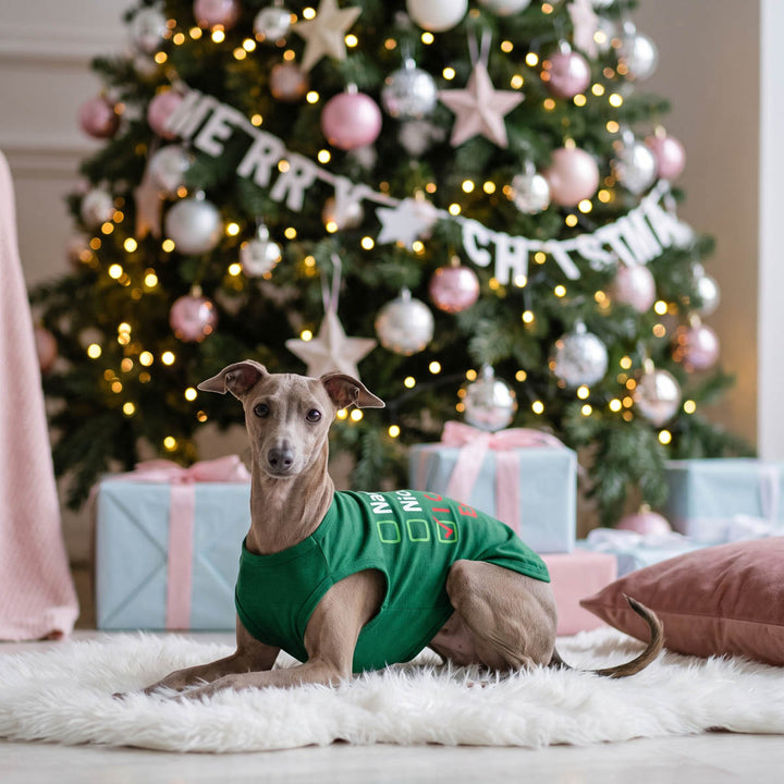 Small brown dog wearing a green Christmas dog tank top on a white faux fur rug in front of a decorated Christmas tree