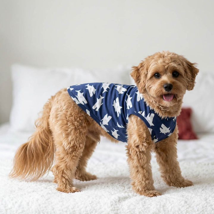 Small dog standing on bed with funny shark dog tank top