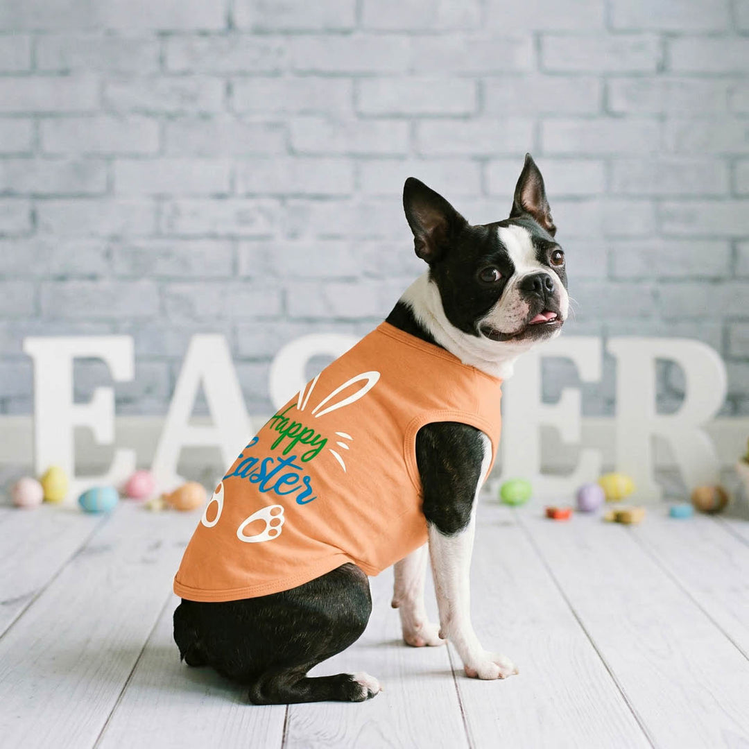 Dog wearing an orange 'Happy Easter' shirt for dogs in front of a brick wall with Easter decorations.
