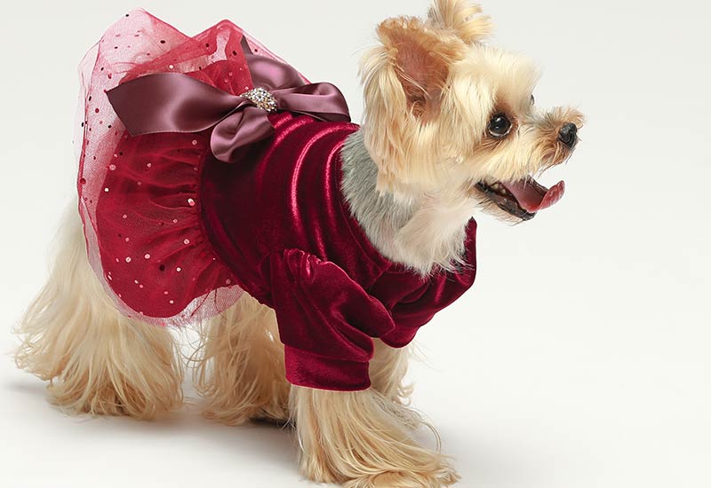  Fitwarm Ruffle Quilted Dog Coat, Pet Puffer Jacket with Hood,  Dog Winter Clothes for Small Dogs Girl, Cat Hooded Outfit, Pink, Large :  Pet Supplies