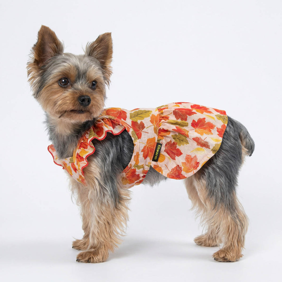 Fall Maple Ruffle Dog Dress | Autumn Colors & Comfort XX-small Fall Maple Ruffle Dog Dress | Autumn Colors & Comfort XX-small