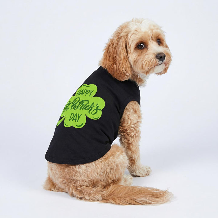 St. Patrick's Day shirt for dogs on a small sitting dog
