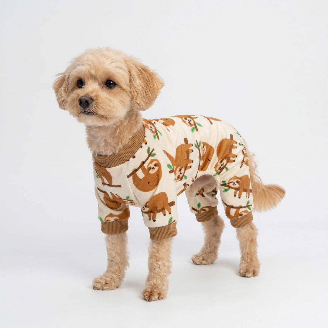 Small dog standing on a white background with a funny sloth prints dog onesie