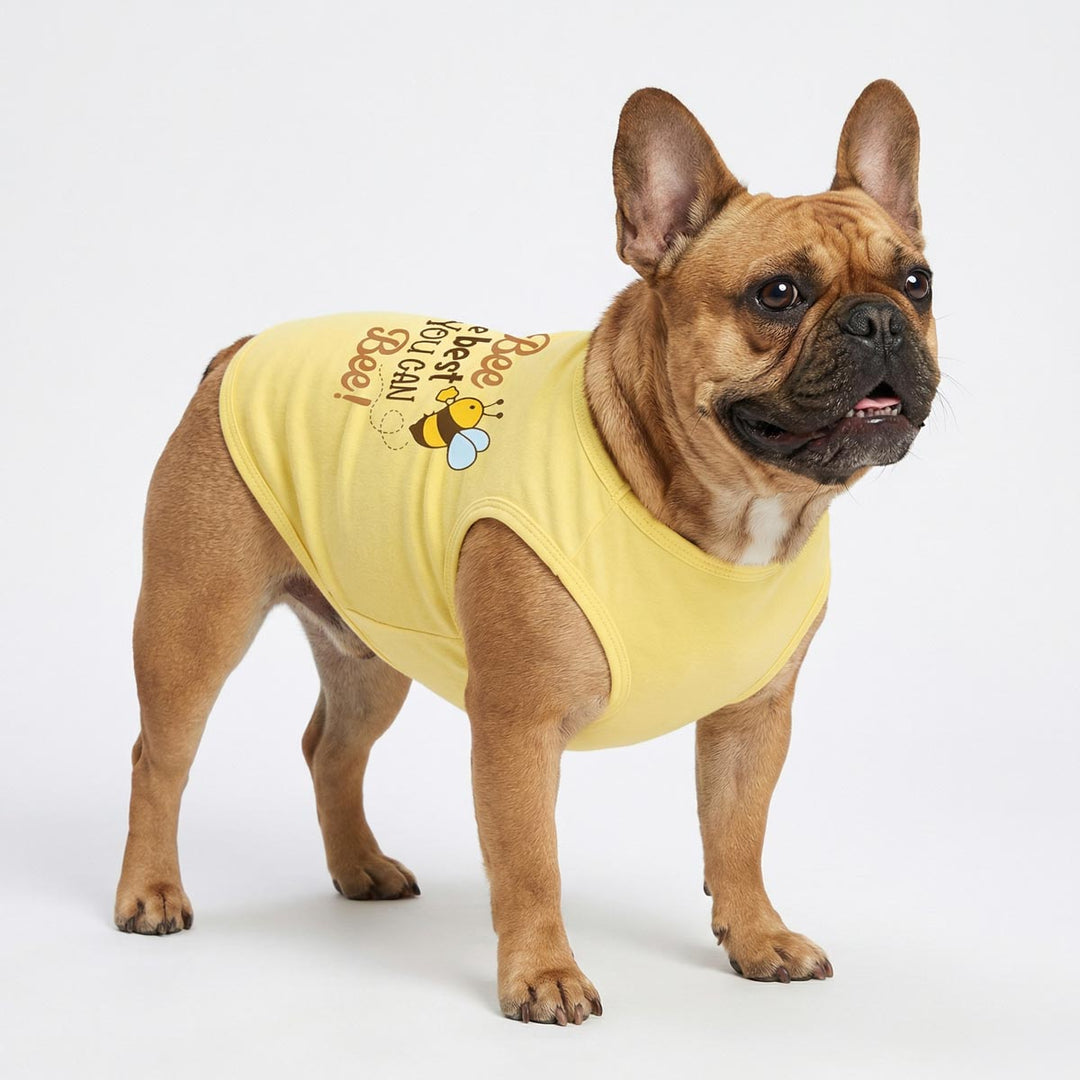 French Bulldog in a spring yellow shirt for dogs
