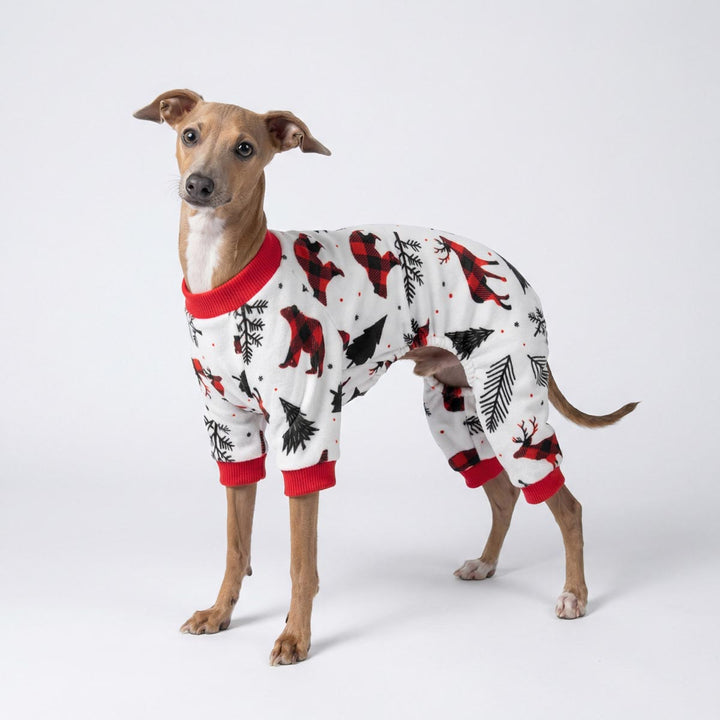 Italian Greyhound wearing a cozy Christmas pajamas for dogs