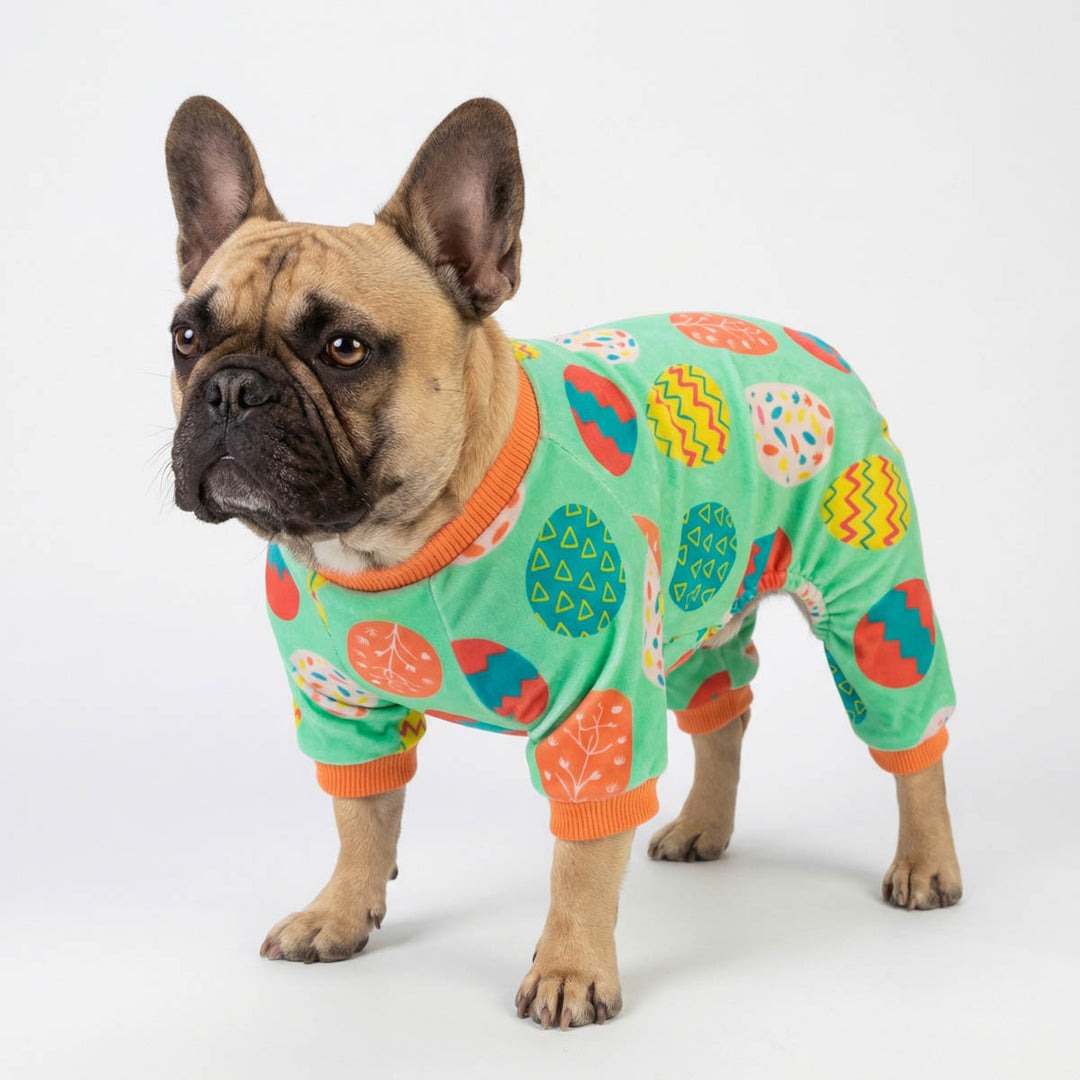 French Bulldog wearing a cozy dog onesie designed with all over Easter egg prints