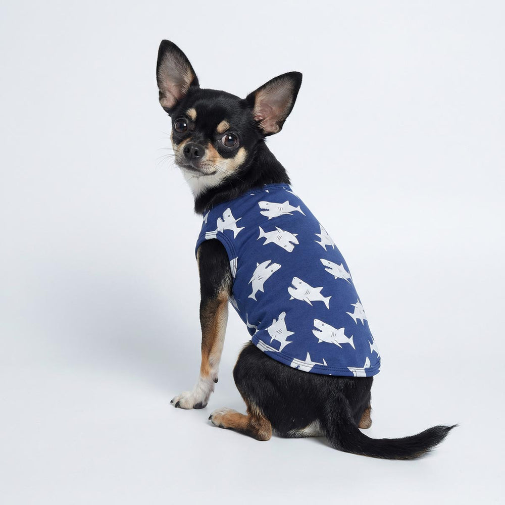 Chihuahua sitting on the ground with shark prints shirt for dogs