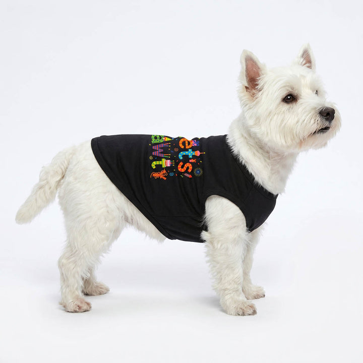 White dog wearing a black dog t-shirt with colorful lettering on a white background