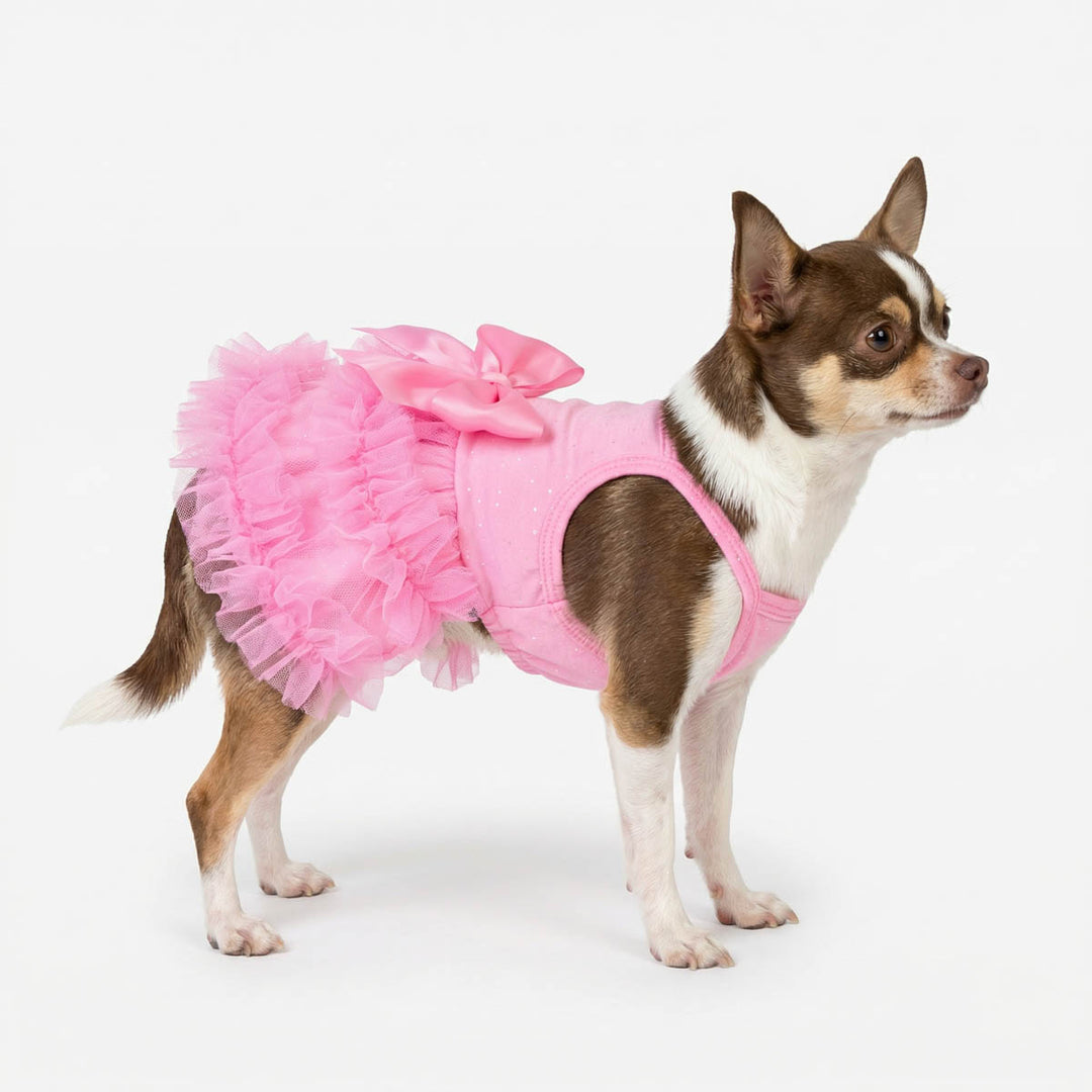 Chihuahua standing in a white background with a bohemian dog dress