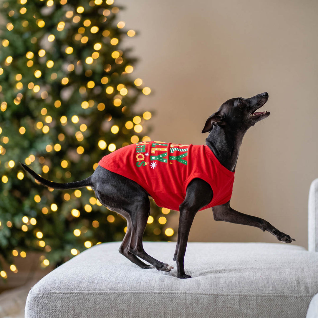 Black dog wearing a red Christmas-themed dog Christmas shrit with 'Holly Jolly Christmas' and holiday graphics, standing on a light gray cushion with a blurred Christmas tree in the background