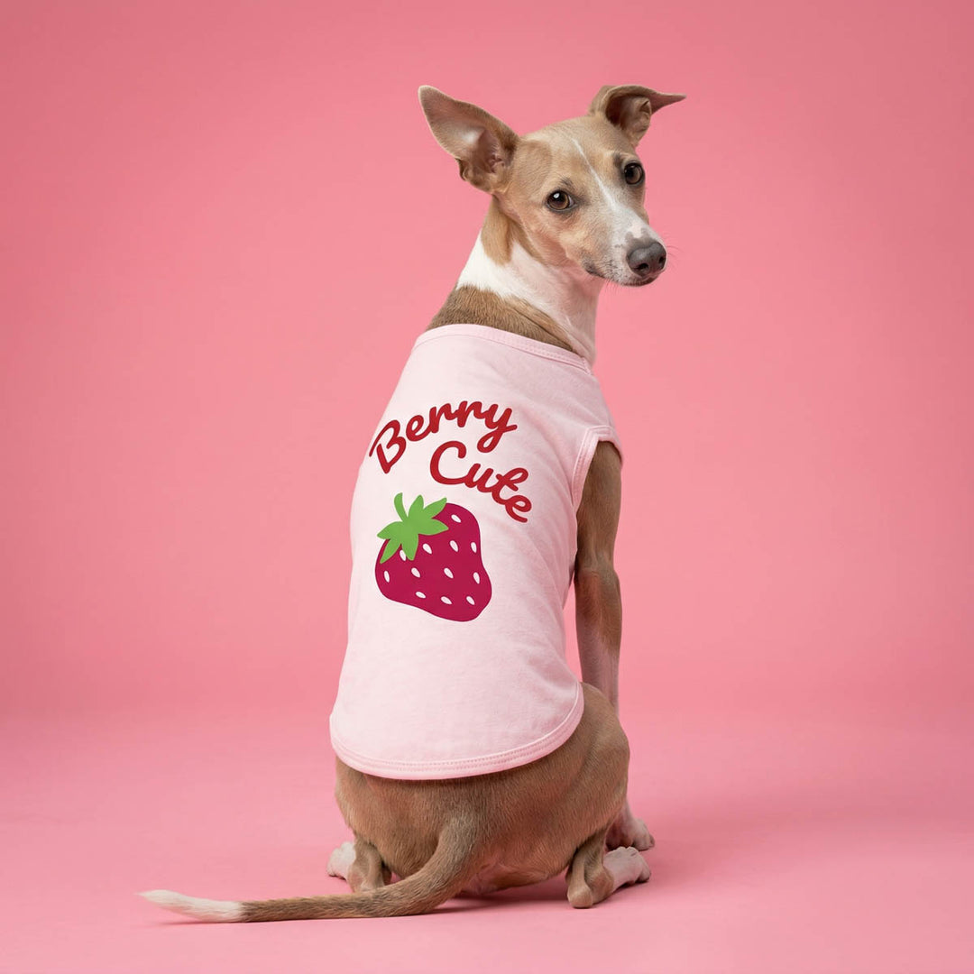 Dog wearing a pink 'Berry Cute' dog tshirt on a pink background