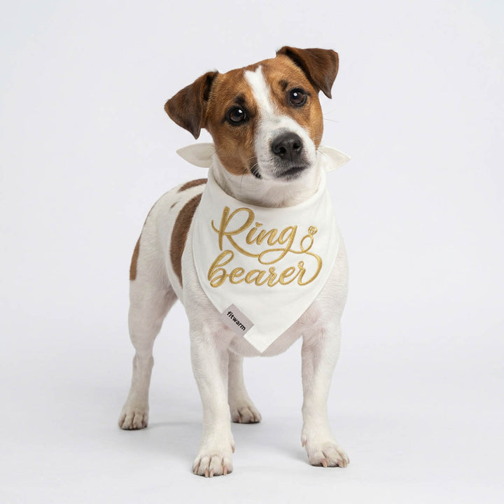 Dog wearing a 'Ring Bearer' bandana and standing on a white background