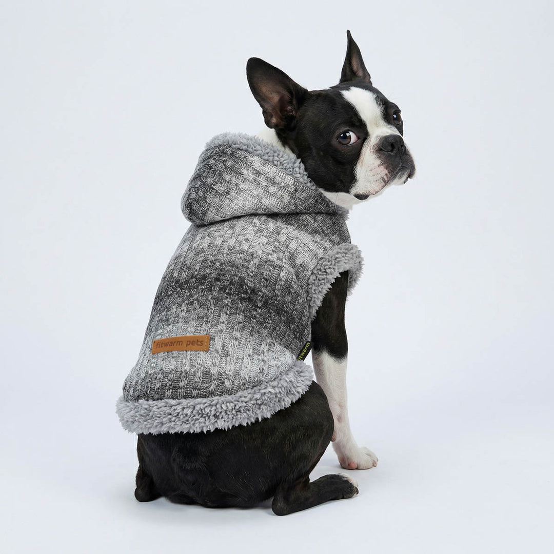 Boston Terrier wearing a fuzzy dog knitted hoodie