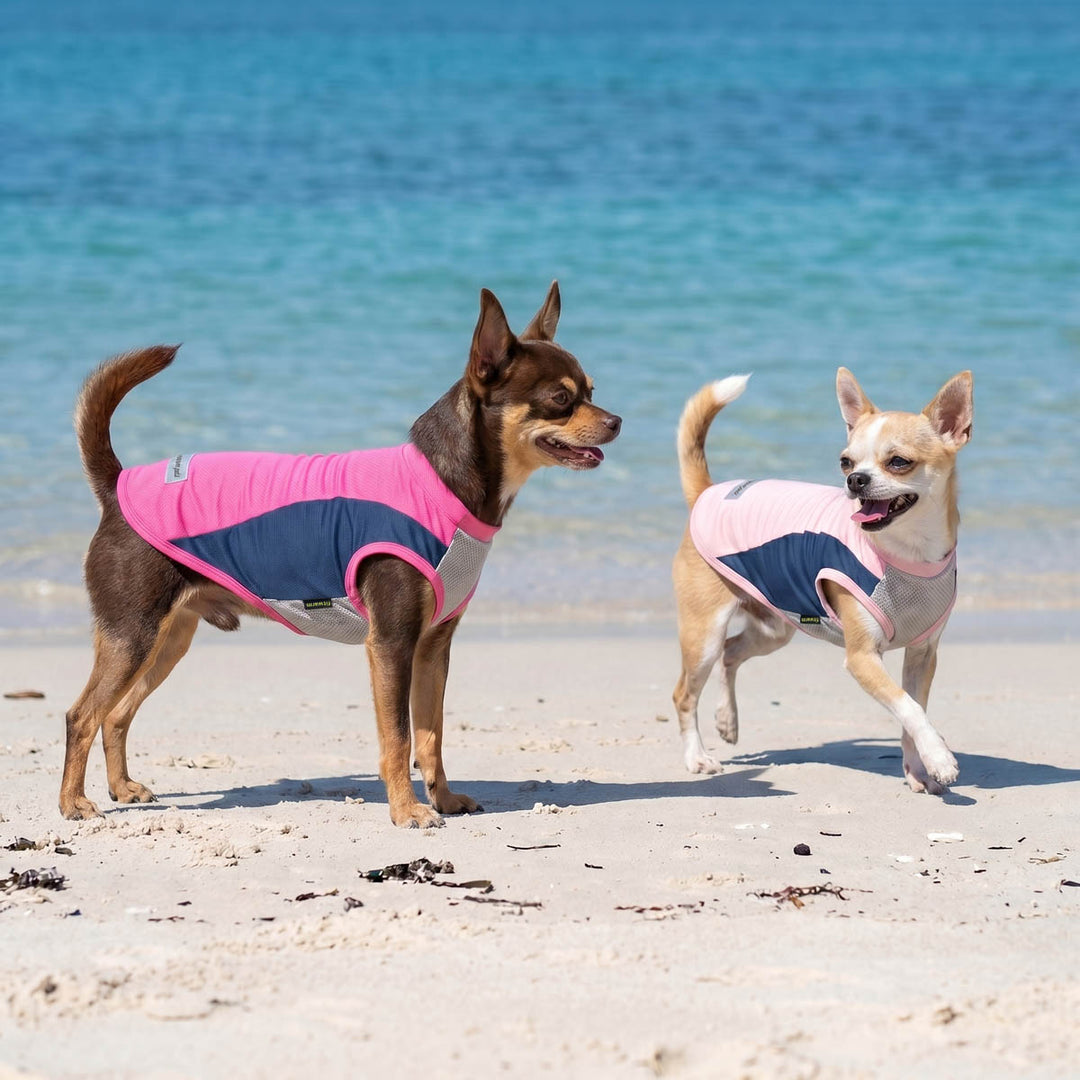 Two dog shirt wearing a pink and purple sun protection dog tank tops on a beach