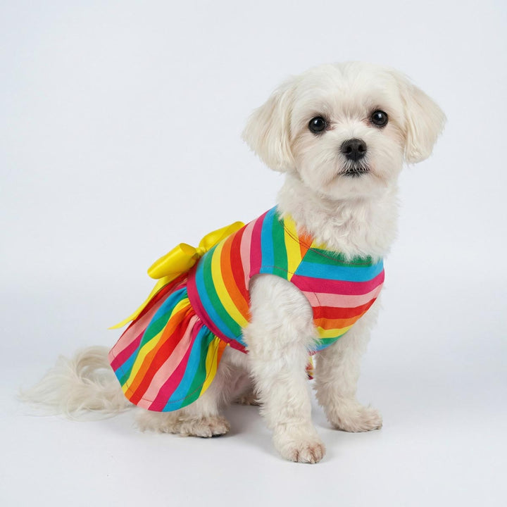 Colorful dress for dog decorated with a yellow bowknot dressed in a small white dog