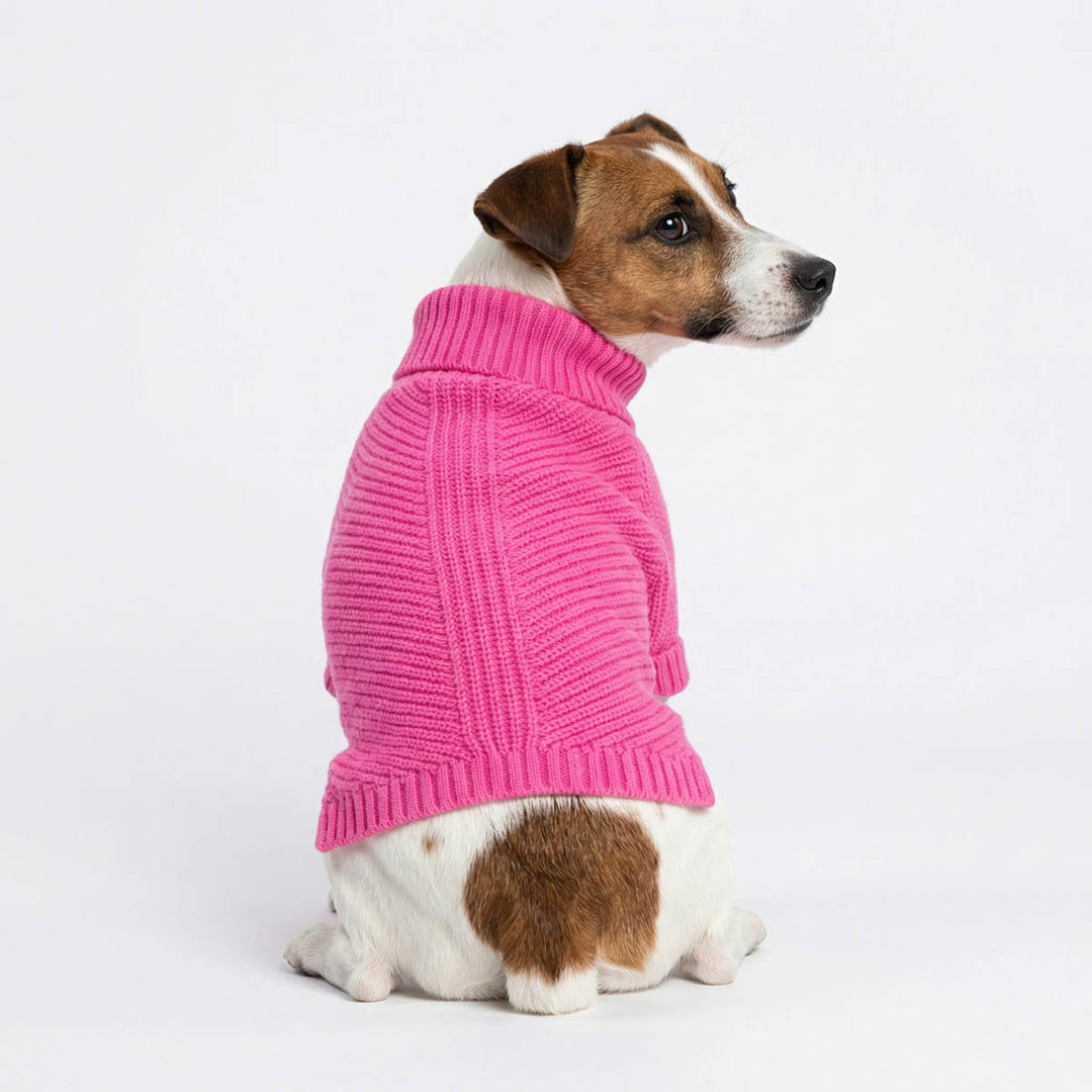 Back view of a Jack Russell wearing a pink dog sweater