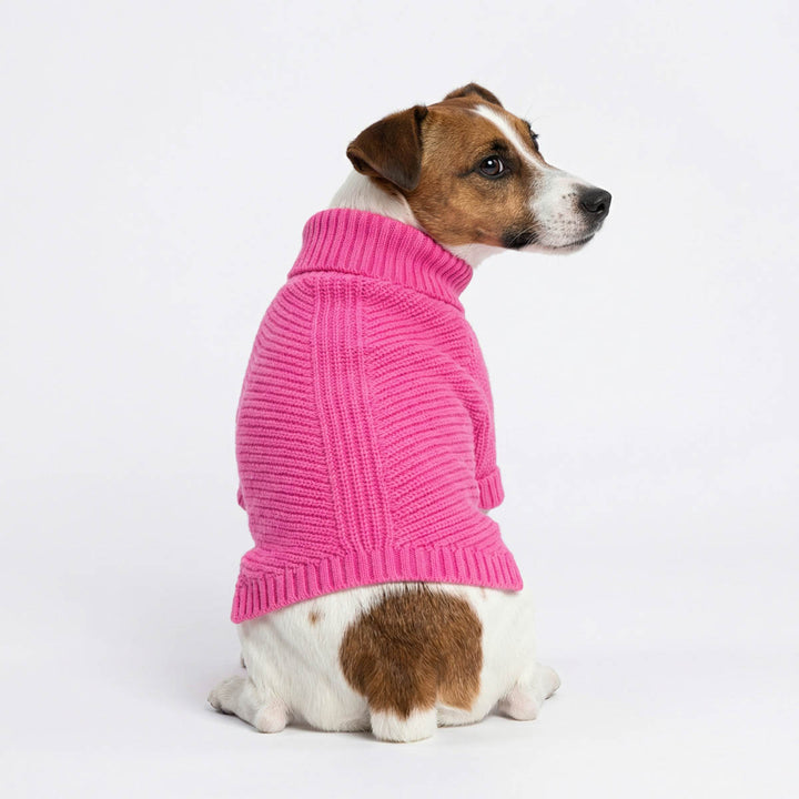 Back view of a Jack Russell wearing a pink dog sweater