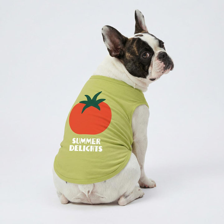 French bulldog wearing a green dog tank top with tomato graphic and summer delights lettering on white background