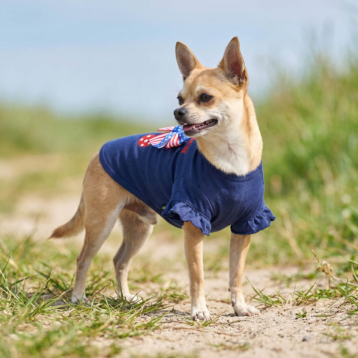 Dog wearing a blue dog t-shirt with an American flag bow design outdoors