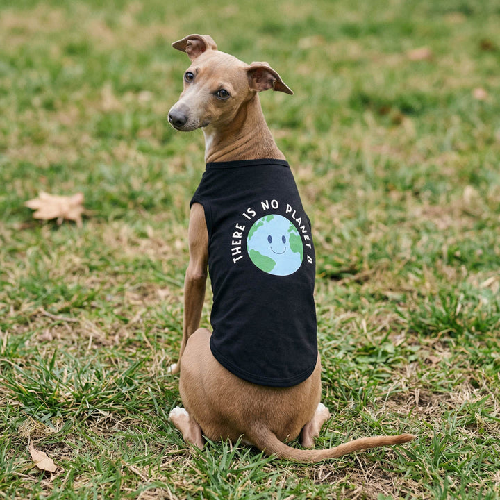 Dog wearing a black dog t-shirt with an Earth print and 'There is no planet B' lettering on grass