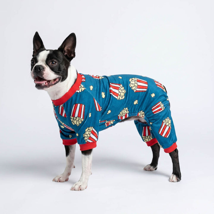 Boston Terrier dressed in a cozy pajama for dog with popcorn prints in a white background