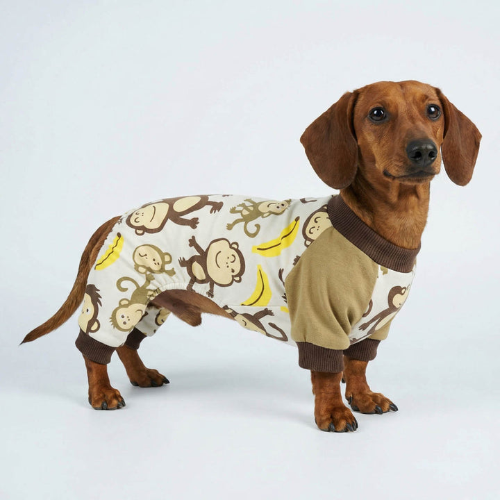 Adorable monkey pajamas for dogs on a Dachshund