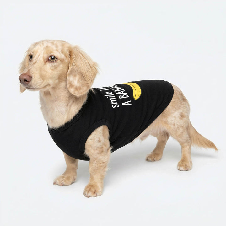 Dachshund dressed in a black banana themed dog t-shirt