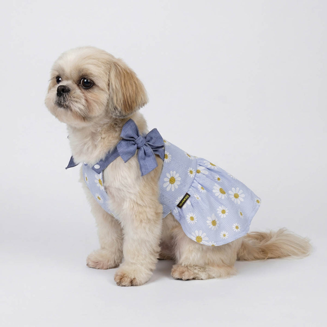 Shih Tzu sitting on a white background with a halter neck summer dog dress with floral prints