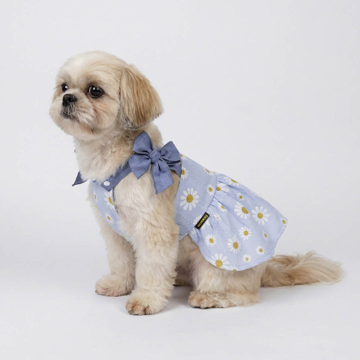 Shih Tzu sitting on a white background with a halter neck summer dog dress with floral prints