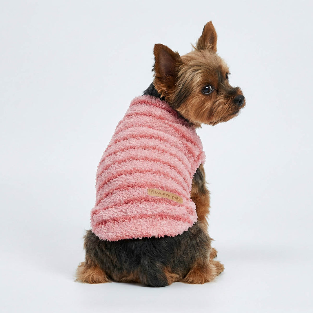 Back view of Yorkie wearing a pink striped dog sweater