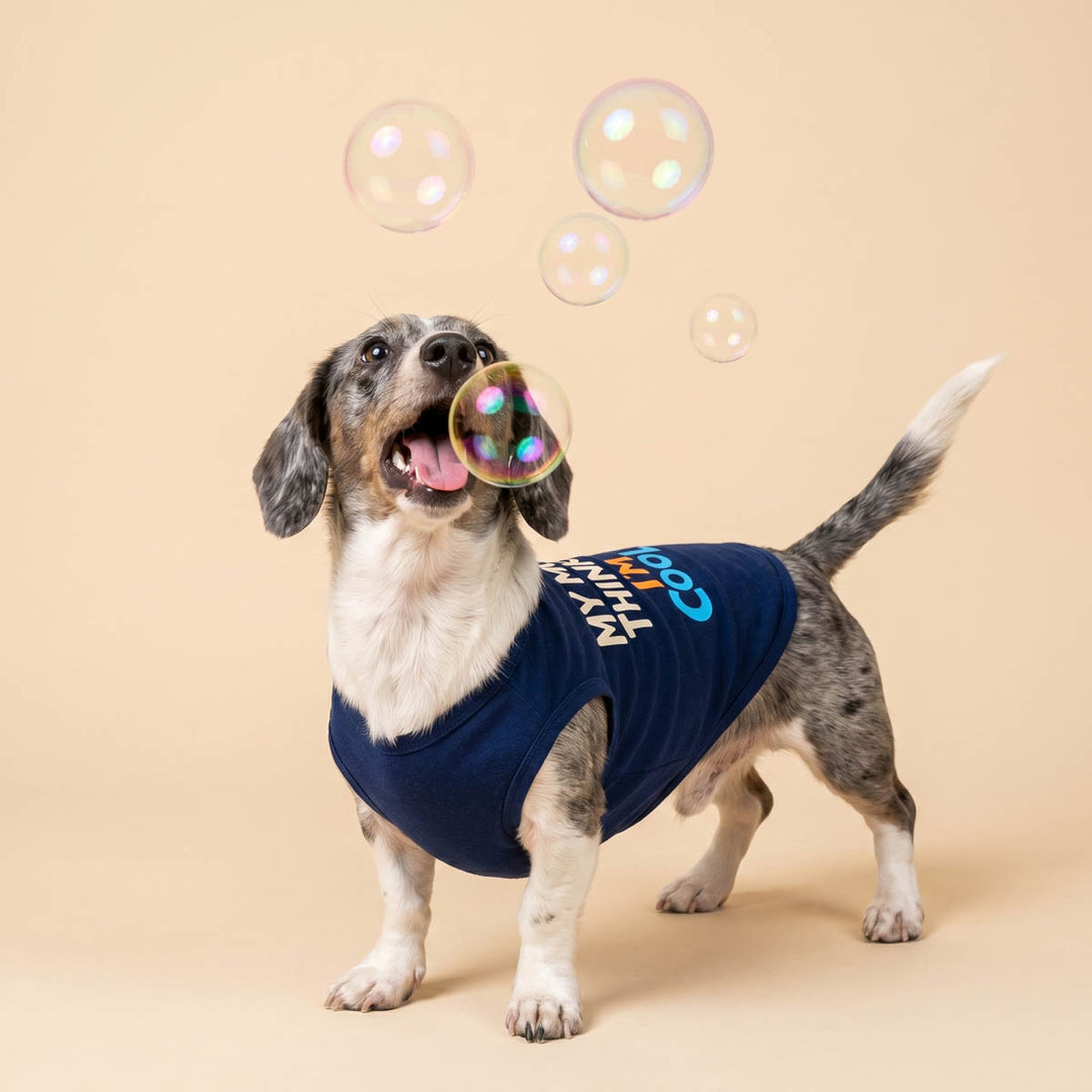 Sleeveless dog tshirt worn by a small dog standing in a beige background