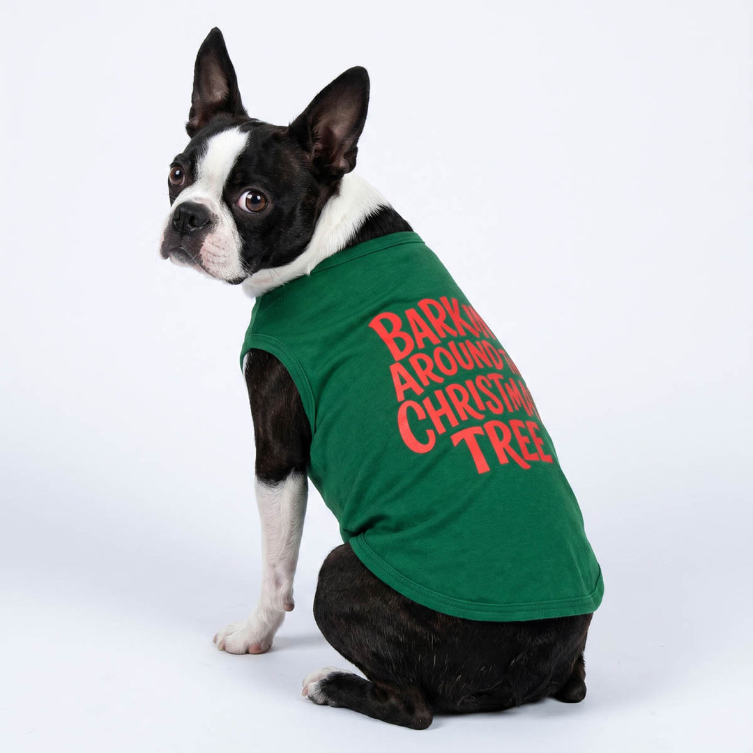Boston terrier dog wearing a green sleeveless dog tank top with red text that reads 'Bark'in Around Christmas Tree' on a white studio background