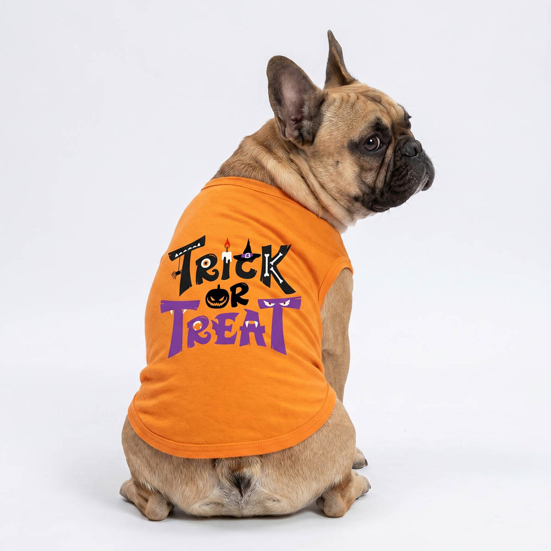 Back view of French Bulldog in a Halloween shirt for dogs with 'trick or treat' lettering