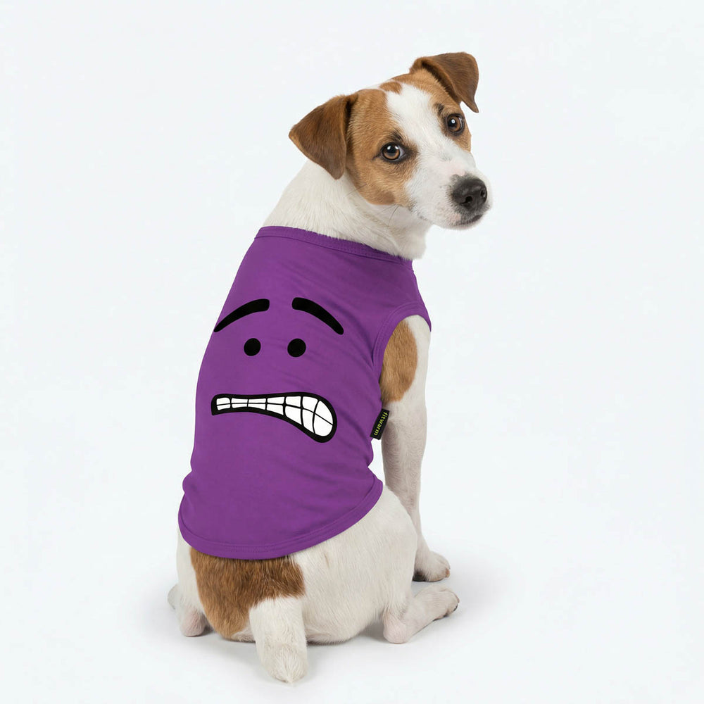 Dog sitting and wearing a purple dog tank top with a scared expression