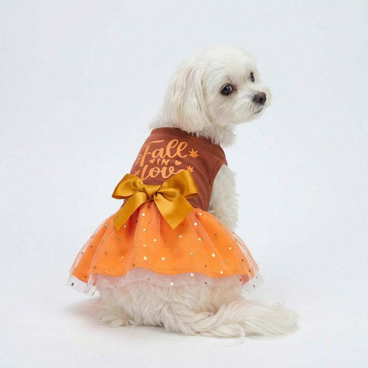 Back view of Maltese in a Thanksgiving dog tutu dress with 'Fall in love' lettering