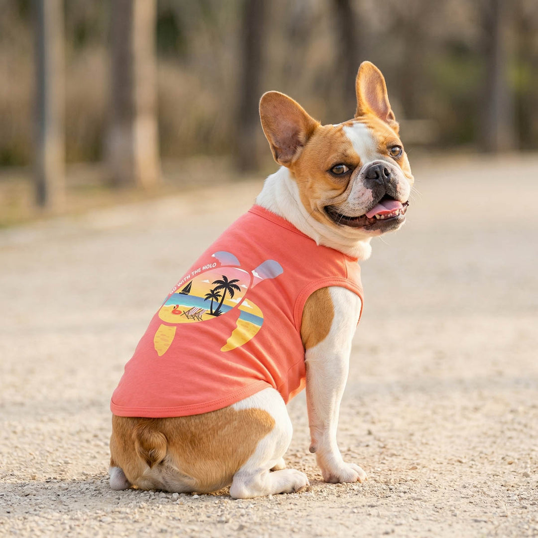 French Bulldog looks back in summer shirt for dogs with Hawaiian beach and sea turtle prints