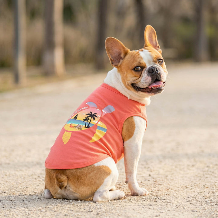 French Bulldog looks back in summer shirt for dogs with Hawaiian beach and sea turtle prints