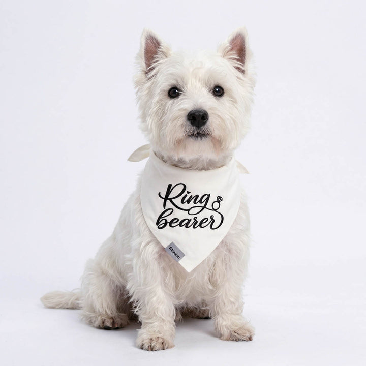 Westie in a white dog bandana with 'Ring bearer' lettering