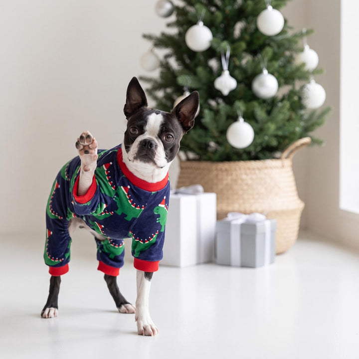 Boston Terrier dog raising its foot in front of a Christmas tree and gift boxes with a funny santa hat dinosaur dog onesie