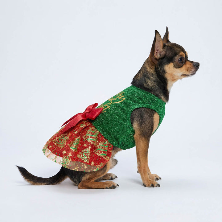 Chihuahua sitting with a green and red dog Christmas dress with bow