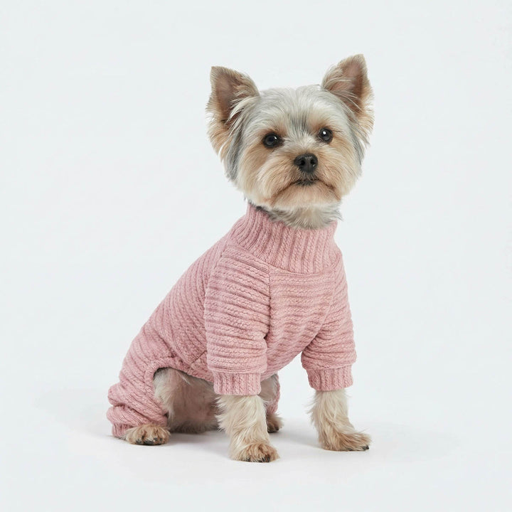 Small Yorkie wearing a pink knitted dog onesie on a white background