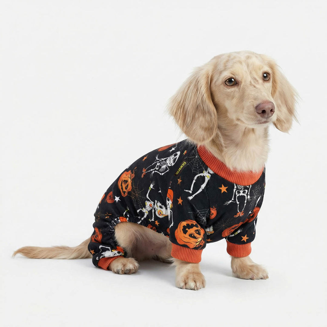 Dachshund in a Halloween dog pjs with skeleton and Jack'o lantern prints