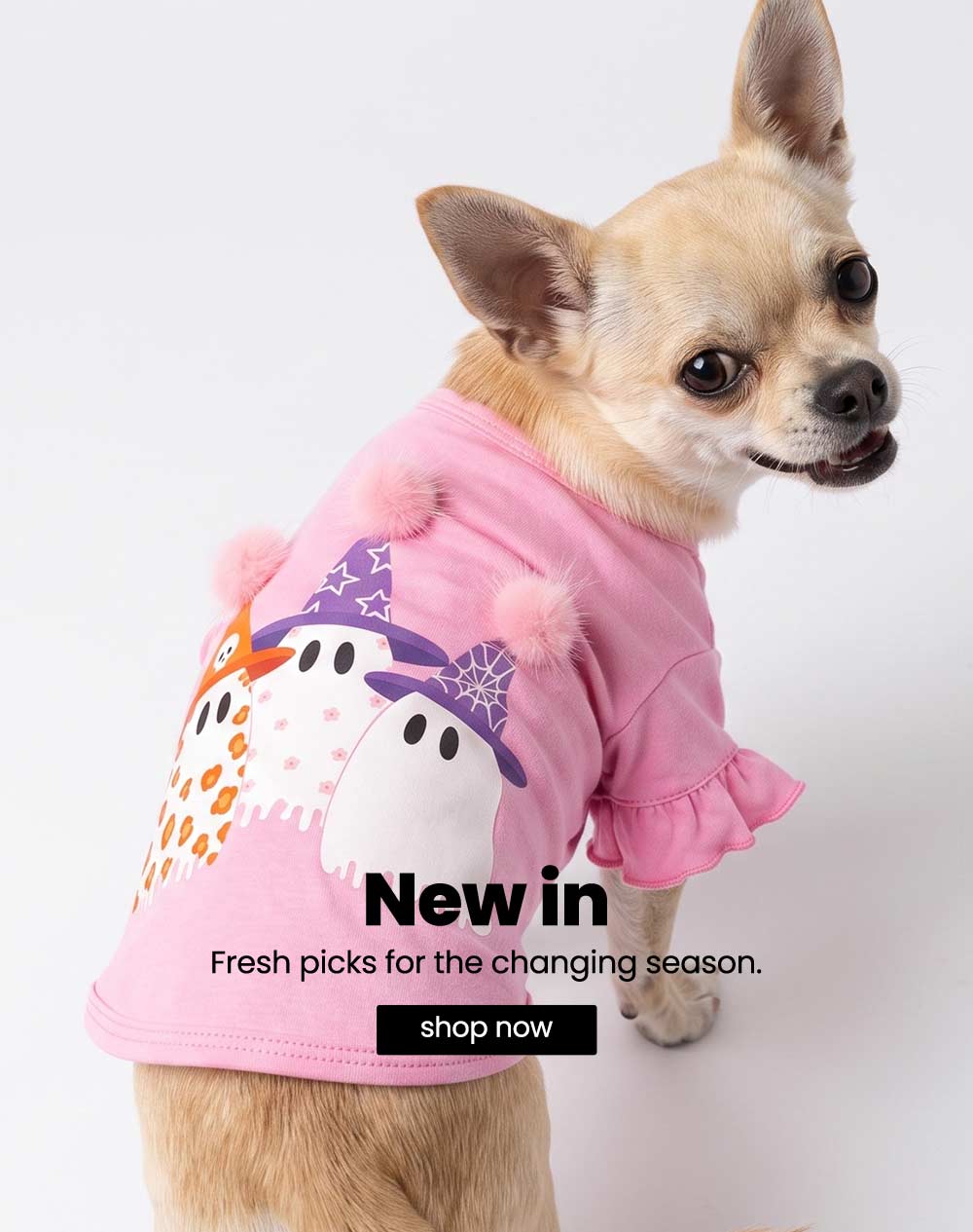 FitWarmの公式ウェブサイト|デザイナーの犬の服 – Fitwarm
